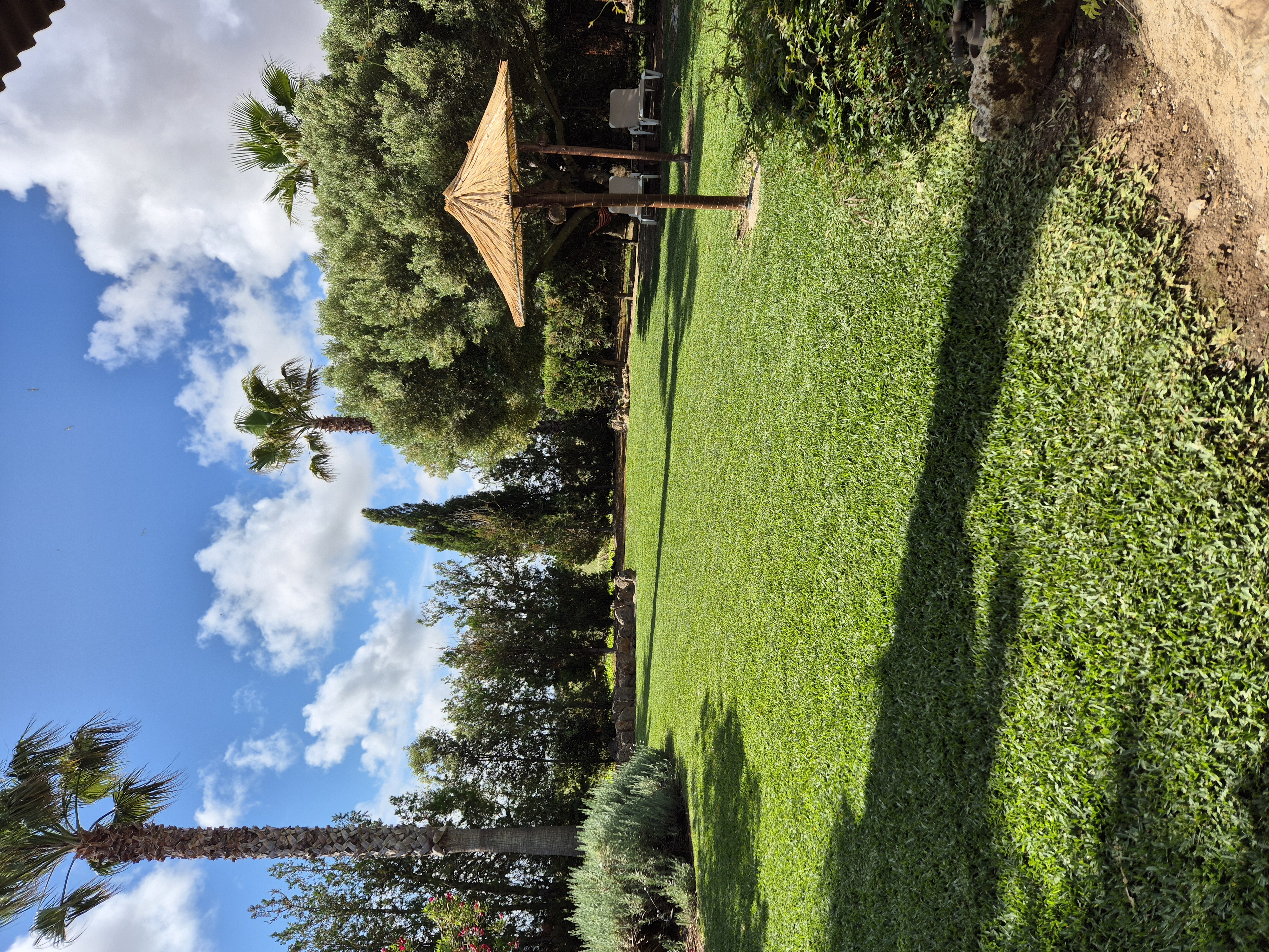 Lush Green Oasis Garden photo 1