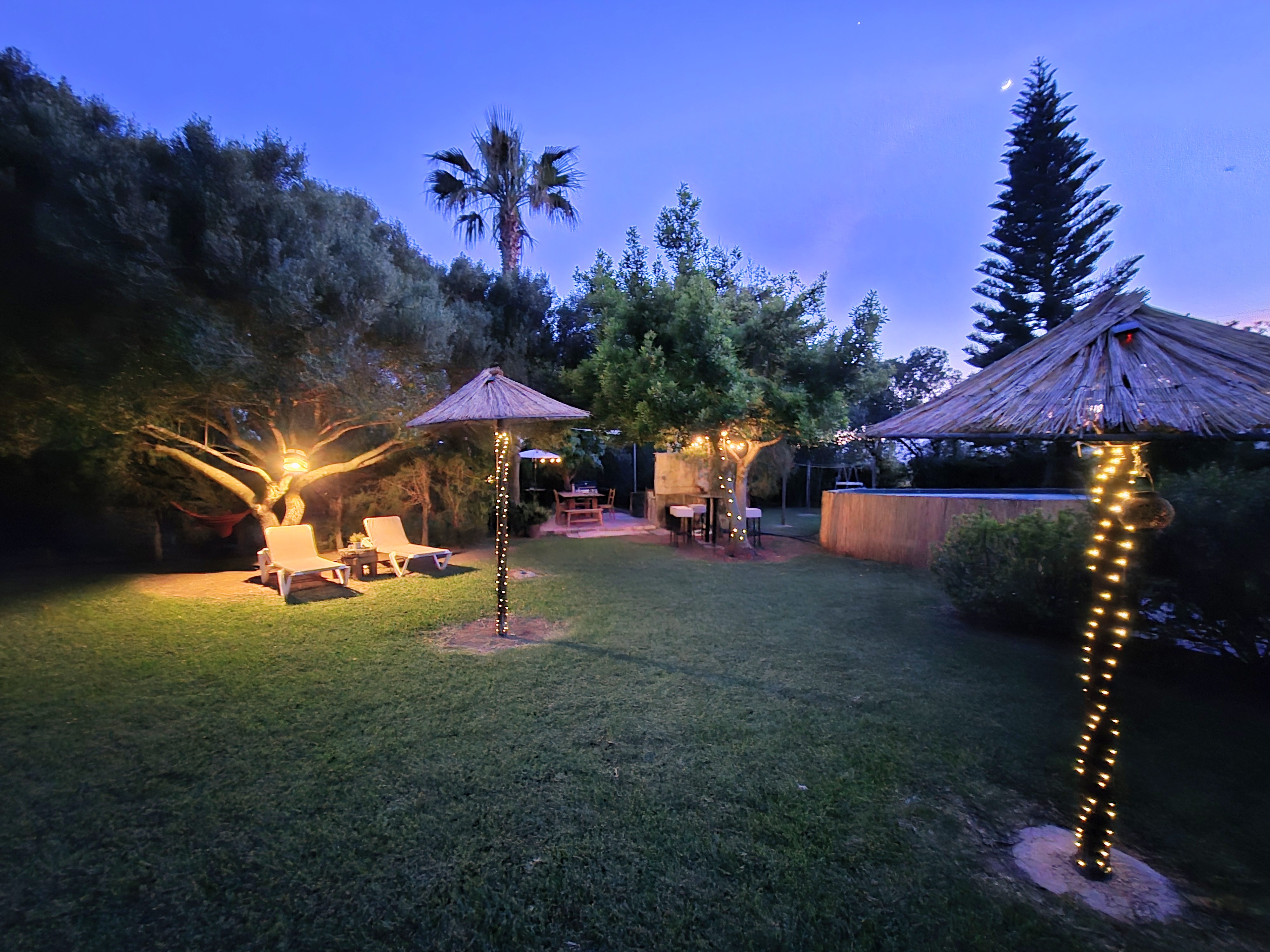 Lush Green Oasis Garden photo 2