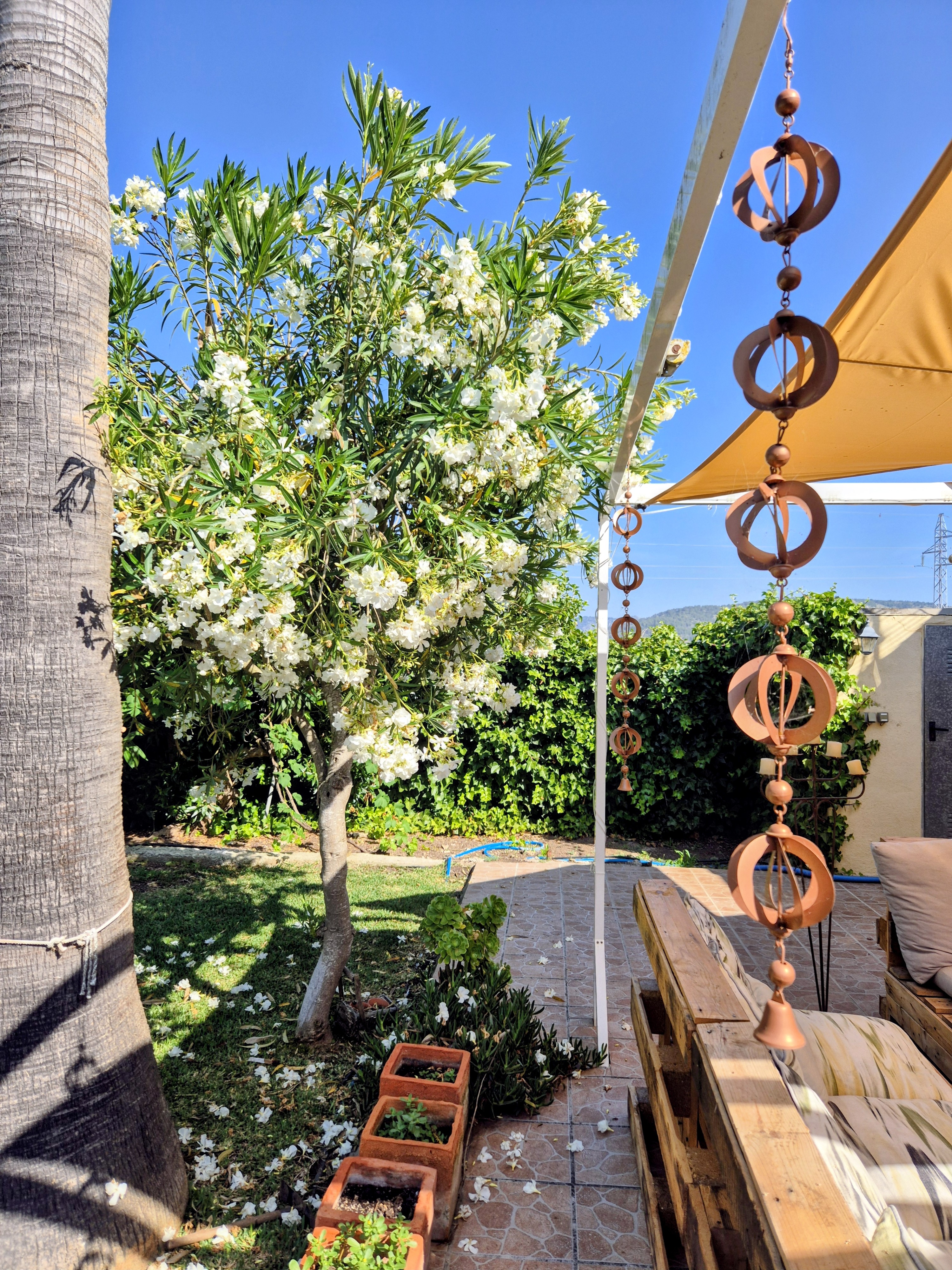 Lush Green Oasis Garden photo 6