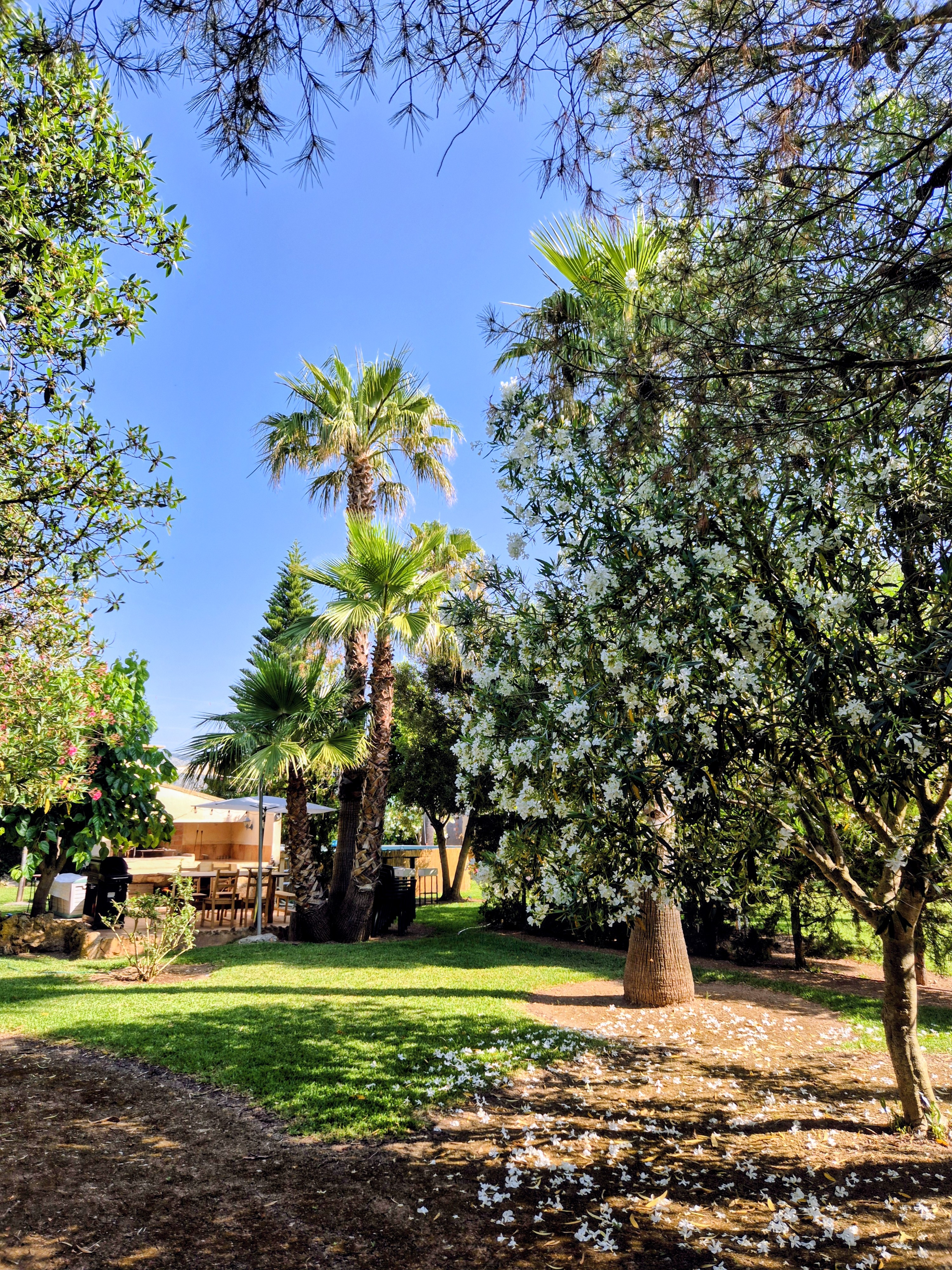 Lush Green Oasis Garden photo 7