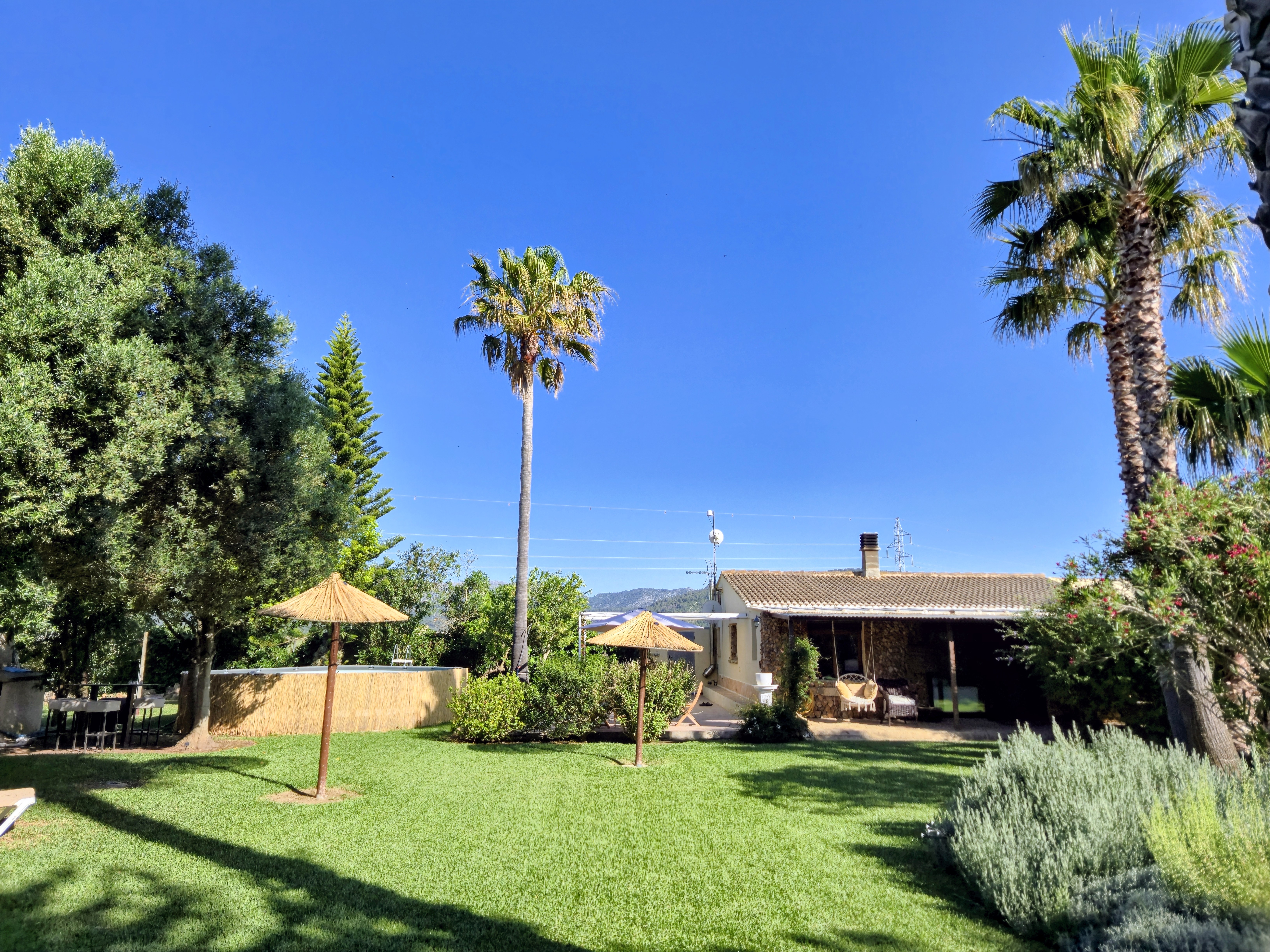 Lush Green Oasis Garden photo 8