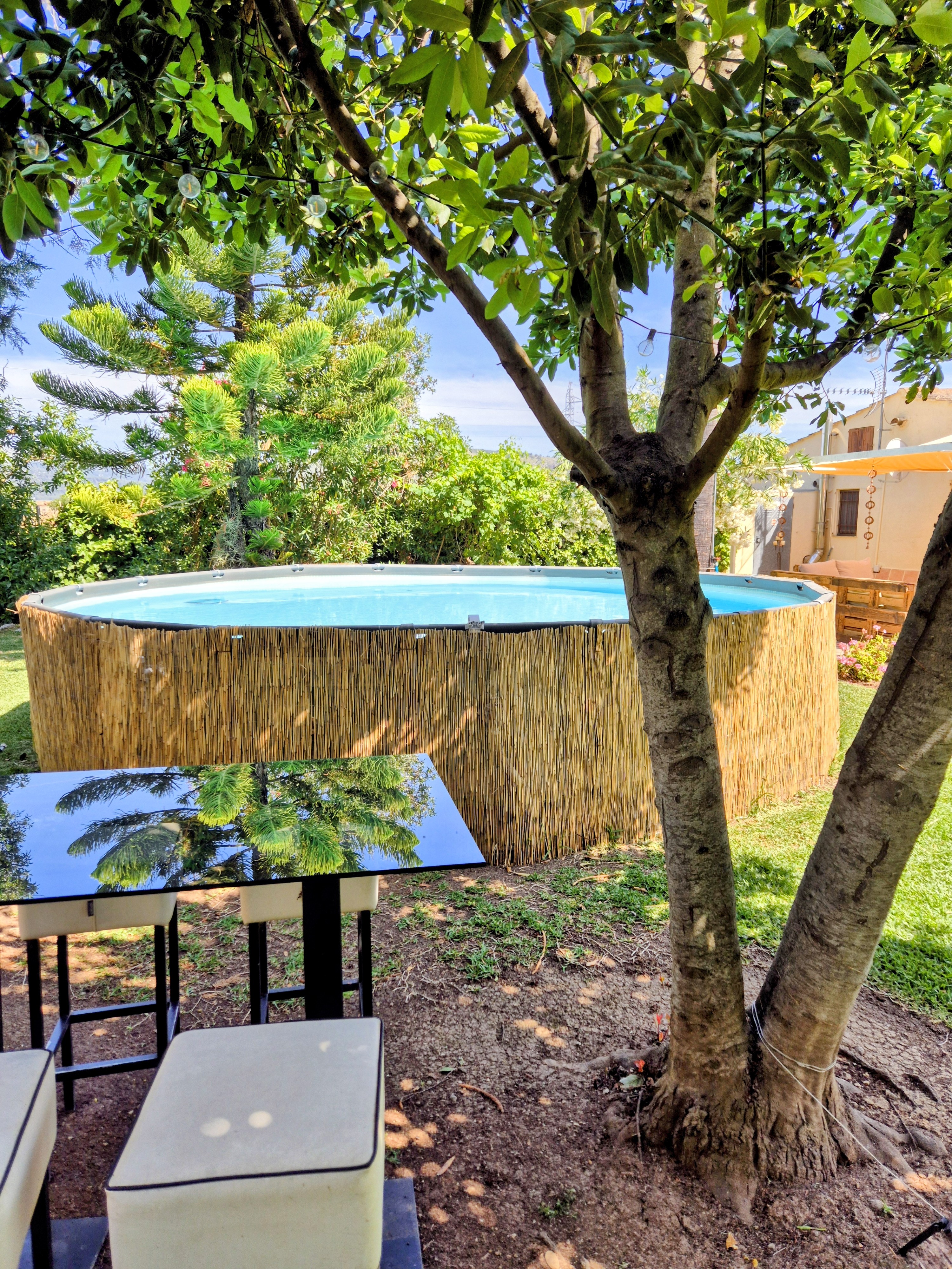 Lush Green Oasis Garden photo 8