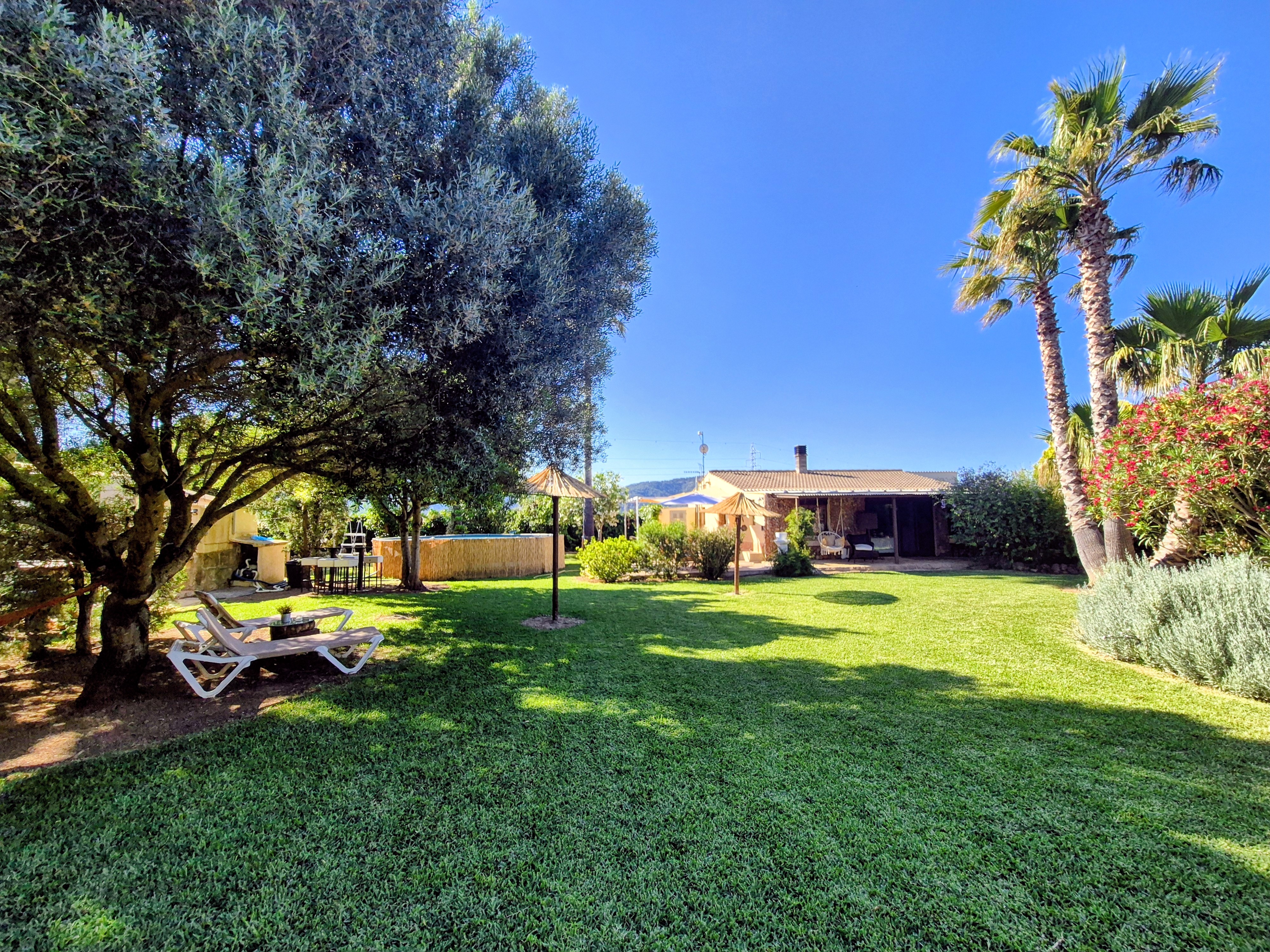Lush green oasis garden at Finca Eco Oasis Mallorca